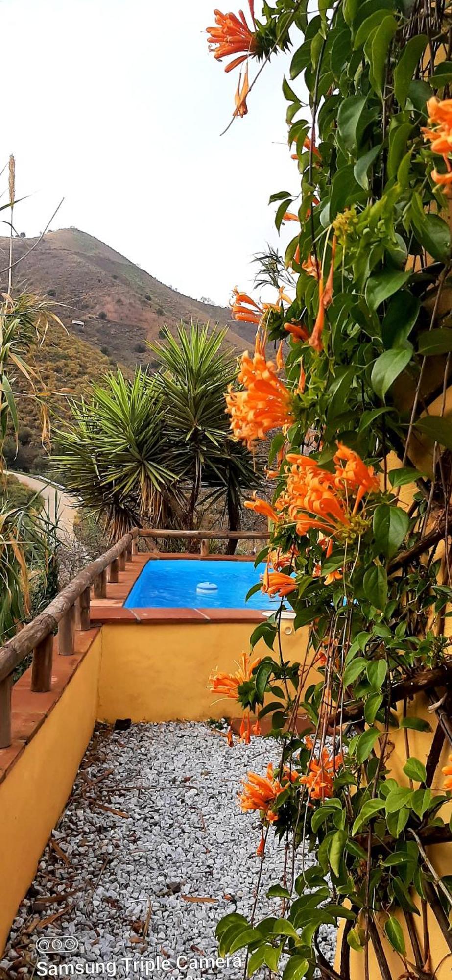 Вилла Adobe Getaway With 'Private Plunge Pool' Виньуэла Экстерьер фото